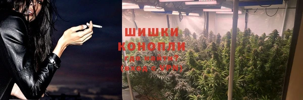 эйфоретик Каменка