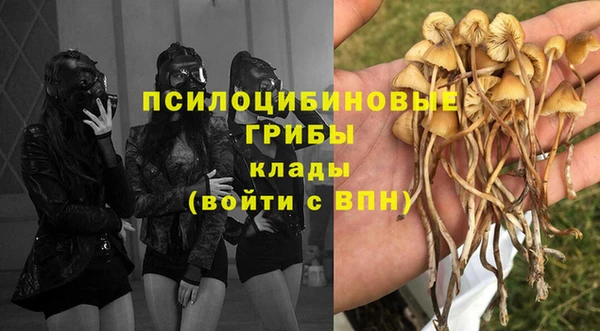 каннабис Каменск-Шахтинский