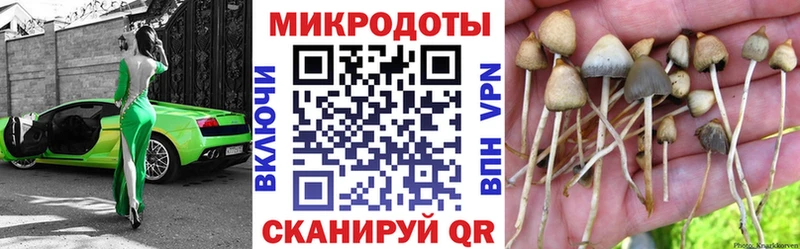 Галлюциногенные грибы Cubensis  Купить где  Новотроицк 